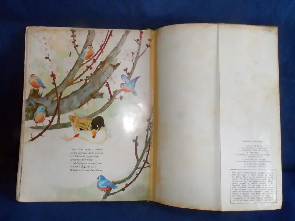 Livro Infantil O Leãozinho Orgulhoso Fábulas Encantadas 1970 - Imagem 4