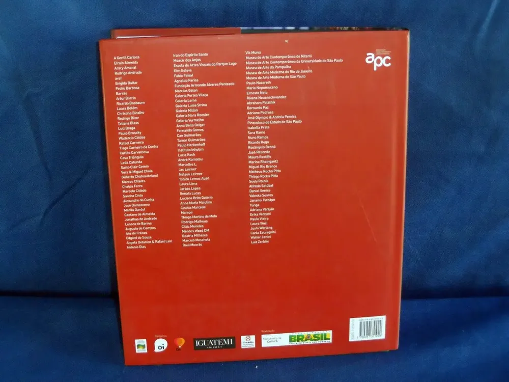 Livro Arte Contemporânea Brasil Transglobe Publishing 2013 - Imagem 2