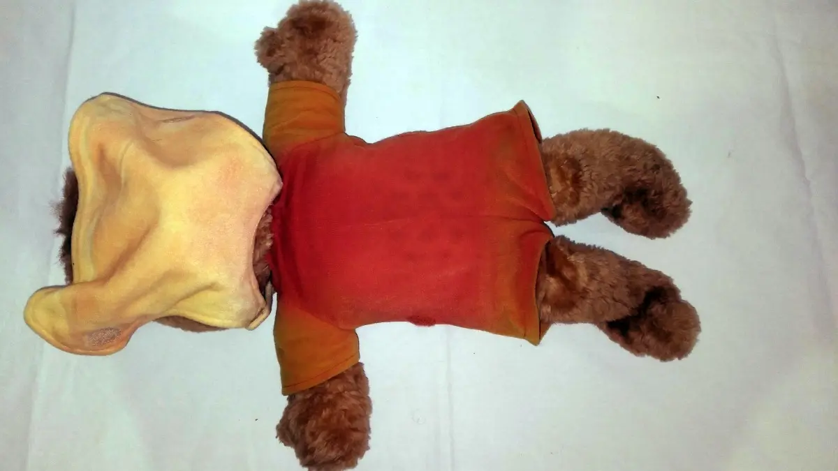Antigo Ursinho De Pelúcia Teddy Ruxpin Tectoy Usado Defeito - Imagem 17
