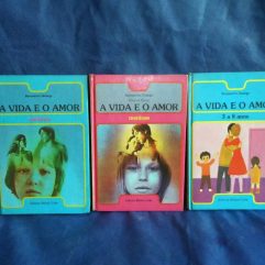 Coleção A Vida E O Amor Bernadette Delarge 3 Volumes Anos 70