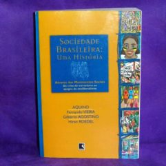 Livro Usado Sociedade Brasileira: Uma História