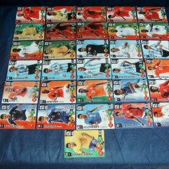 Lote 31 Cartas Copa 2010 Adrenalyn Xl Fifa World Cup Panini