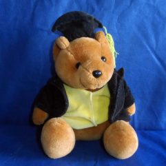 Ursinho De Pelúcia Com Roupa De Universitário Usado 27cm
